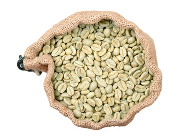15 ARABICA COFFEE Tree Shrub Seeds - Grow your own coffee!